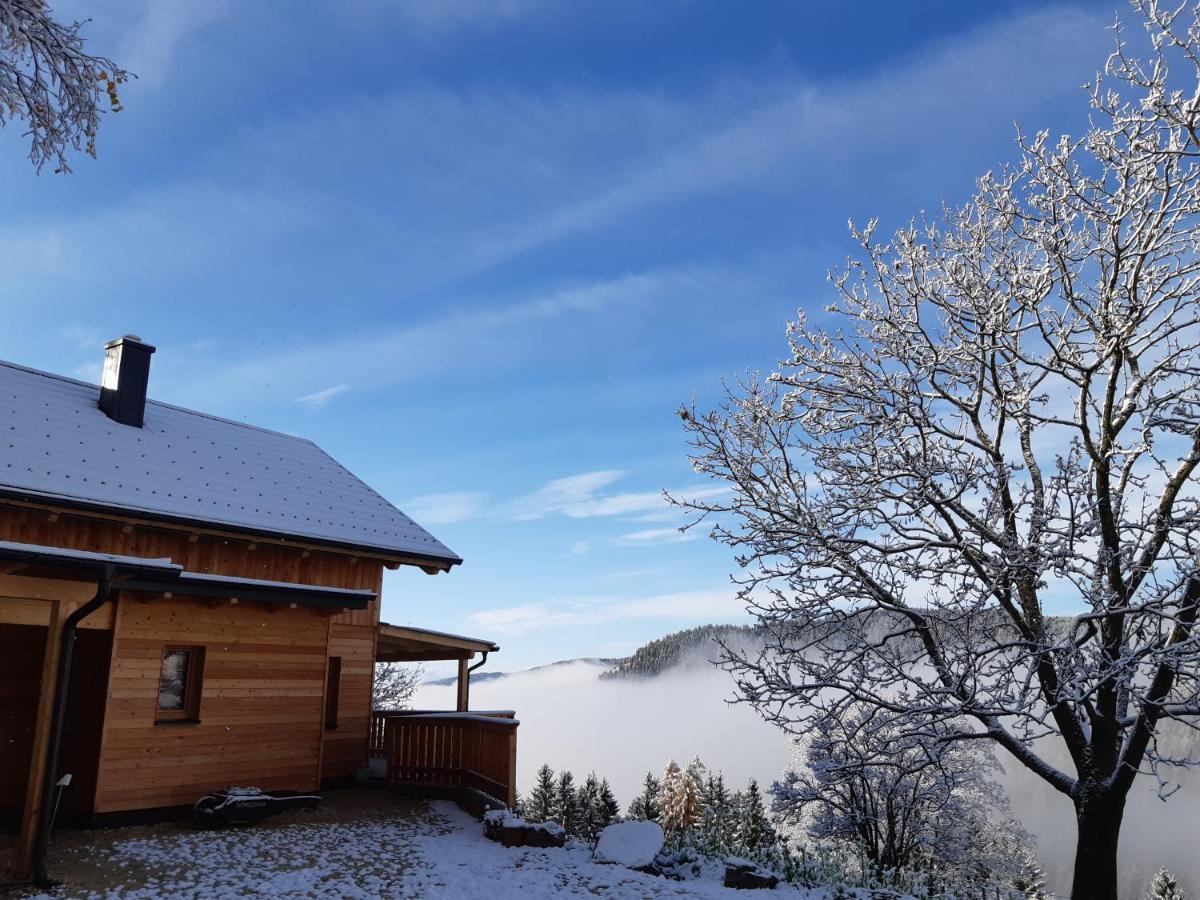 شقة Auszeit Almhaus Schmalzbauer Sankt Andrä المظهر الخارجي الصورة